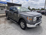 Used 2023 Ford F150 XLT w/ Equipment Group 302A High image 3