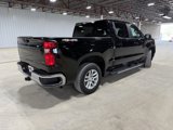 Used 2022 Chevrolet Silverado 1500 LT w/ Protection Package image 6