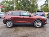 Used 2021 Ford Escape SE w/ Convenience Package image 2