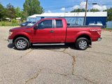 Used 2013 Ford F150 XLT w/ Luxury Equipment Group image 3