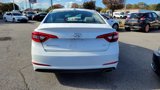 Used 2016 Hyundai Sonata ECO image 4