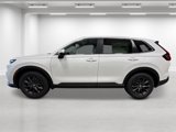 New 2026 Honda CR-V EX-L image 2