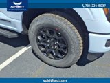 New 2025 Ford F150 XLT w/ Equipment Group 302A MID image 4