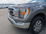 Certified 2021 Ford F150 XLT w/ Equipment Group 302A High image 4