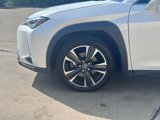 Used 2021 Lexus UX 250h w/ Premium Package image 4