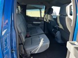 New 2025 Ford F150 XLT w/ Equipment Group 302A MID image 4