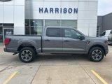 New 2025 Ford F150 STX image 3