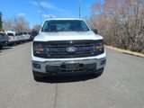 New 2025 Ford F150 XLT w/ Equipment Group 301A Standard image 2