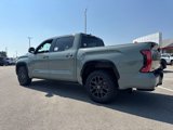 New 2026 Toyota Tundra Platinum image 3