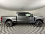 New 2025 Ford F250 Platinum image 2