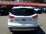 Used 2014 Ford Escape Titanium w/ Equipment Group 401A image 4
