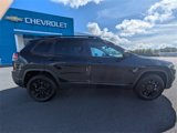 Used 2023 Jeep Cherokee Altitude Lux image 4