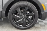 Used 2024 Hyundai Santa Cruz Night image 6