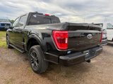 Used 2021 Ford F150 XLT w/ Equipment Group 302A High image 3