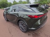 New 2025 Lexus RX 350 image 4