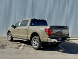 New 2025 Ford F150 XLT w/ Equipment Group 301A Standard image 3
