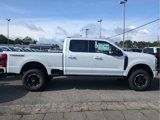 New 2025 Ford F250 XLT w/ Black Appearance Package image 5