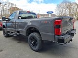 New 2025 Ford F250 XL image 3