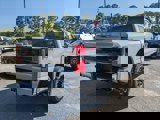 New 2025 Ford F250 Platinum image 4
