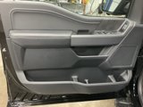 New 2025 Ford F150 XLT image 5