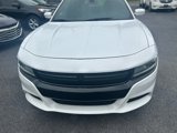 Used 2019 Dodge Charger Police w/ Fleet Safety Group image 4