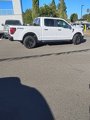 Used 2024 Ford F150 STX w/ Equipment Group 201A FX4 image 4