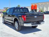 Used 2024 Ford F150 XLT image 5