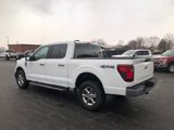 Used 2024 Ford F150 XLT image 3