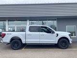 New 2025 Ford F150 XLT w/ Equipment Group 302A MID image 4