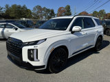 New 2025 Hyundai Palisade Calligraphy image 4