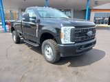 New 2025 Ford F250 XL image 4