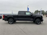 New 2025 Ford F250 Platinum image 2