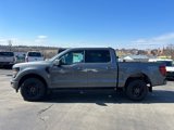 New 2025 Ford F150 XLT w/ Equipment Group 301A Standard image 2