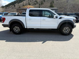 Used 2023 Ford F150 Raptor image 6