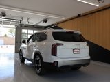 New 2025 Kia Telluride EX image 2