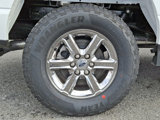 New 2025 Ford F150 XLT w/ Equipment Group 301A Standard image 5