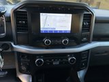Used 2023 Ford F150 XLT w/ Equipment Group 301A Mid image 6