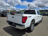 Certified 2024 Ford F150 XLT image 3
