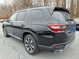 New 2025 Honda Pilot Elite image 4