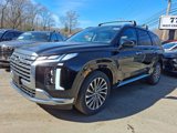 New 2025 Hyundai Palisade Calligraphy image 2