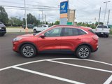 Used 2020 Ford Escape SEL image 2