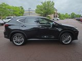 New 2025 Lexus NX 350 AWD w/ Luxury Package image 2