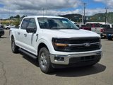 Certified 2024 Ford F150 XLT image 4