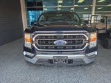Certified 2021 Ford F150 XLT w/ Equipment Group 301A Mid image 2