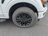 New 2025 Ford F150 XLT image 6