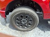 New 2025 Ford F250 XLT image 5