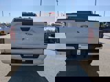 New 2025 Ford F150 STX w/ Equipment Group 200A image 5