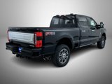 New 2025 Ford F250 Platinum image 5