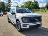 New 2025 Ford F150 XLT w/ Equipment Group 302A MID image 3