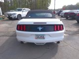 Used 2015 Ford Mustang Convertible w/ Equipment Group 051A image 4